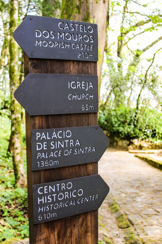 在森林里的地标道路的标志