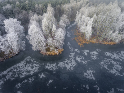 冬天背景与白雪覆盖的森林鸟瞰图