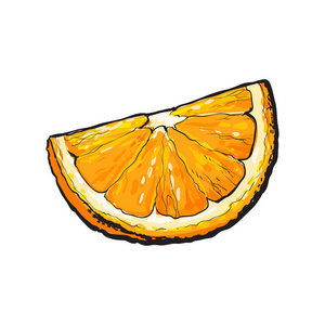 现实的多彩手绘线段的多汁的橘子，矢量图