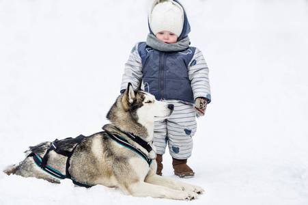 雪地里玩耍的小女孩和狗