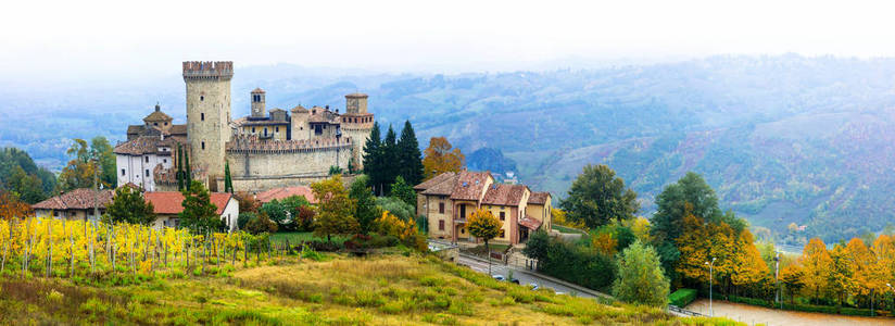 在葡萄园，意大利中世纪村庄 博尔戈 Vigoleno 与井保留城堡