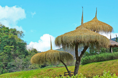 美全国小屋草图片