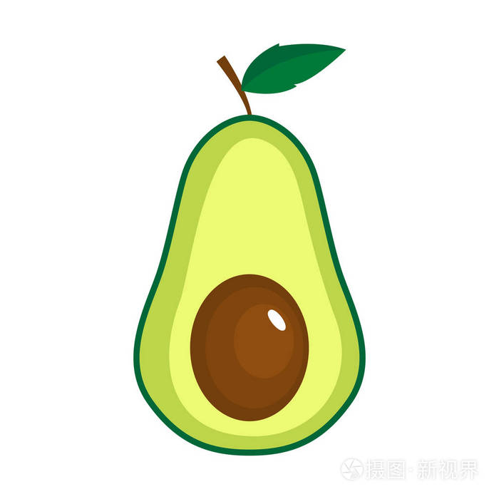 向量在白色背景上的孤立的鳄梨矢量图
