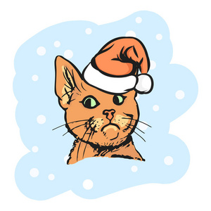 橙色的猫，在圣诞老人的帽子