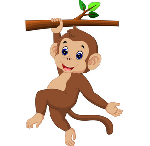 可爱的猴子卡通照片