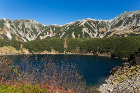 Mikurigaike 池塘在立山山脉