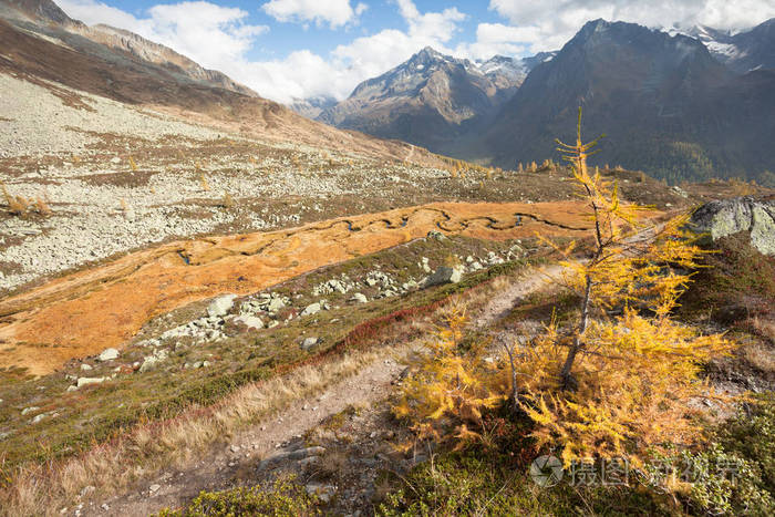 在秋天在 Ahrntal 意大利 流动的一条河像一条蛇