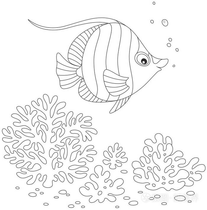 在礁石上的珊瑚鱼插画-正版商用图片0w7jm4-摄图新视界