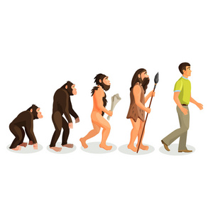人过程和相关的概念的演变猿