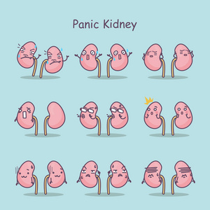 恐慌的卡通肾