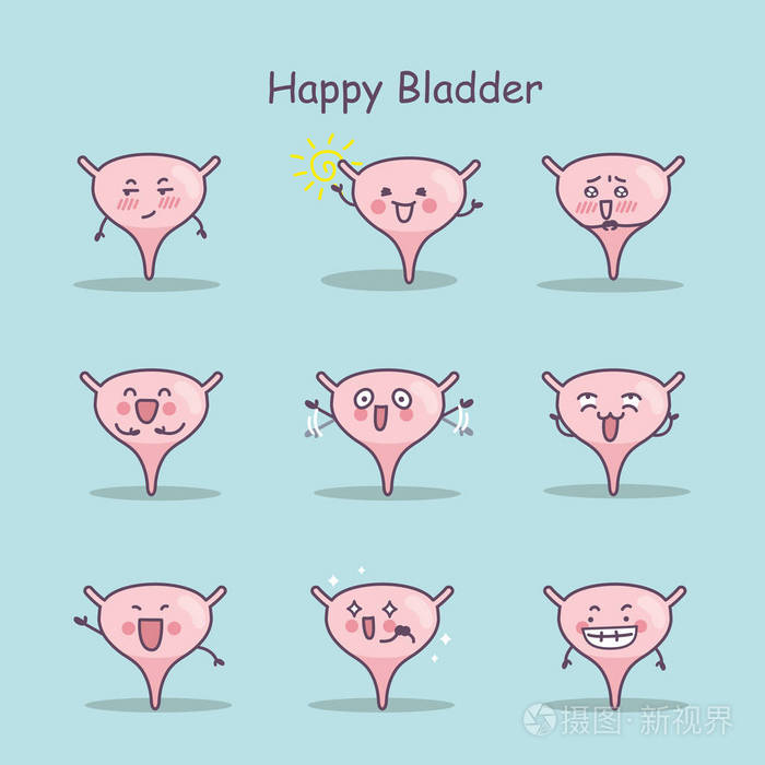 快乐卡通膀胱