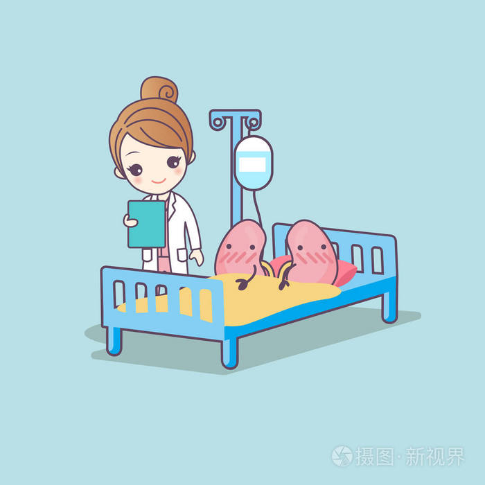 可爱的卡通肾和医生
