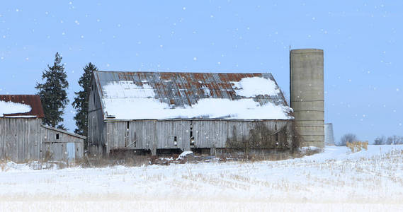 在一个冬天风景旧谷仓图片