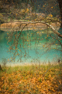 秋季景观与绿色水域的湖 Tsivlos，奔