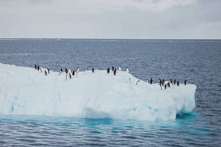 冰山或冰山是一大片淡水冰，它打破了冰川或冰架，在开阔的水中自由漂浮。