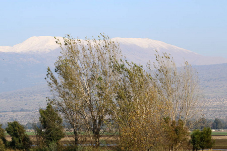 雪上蒙山