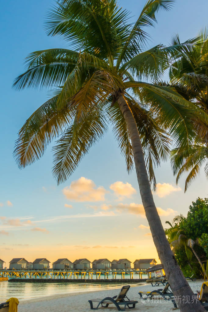 椰子树在蓝蓝的天空