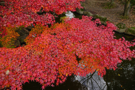 s first permanent capital, Nara is one of the 39