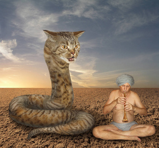 猫蛇和苦行僧图片