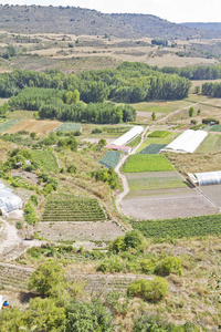 耕地在农村风景