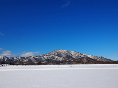 在北海道冬季景观