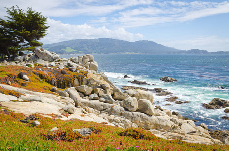 意见的加利福尼亚海岸风景区