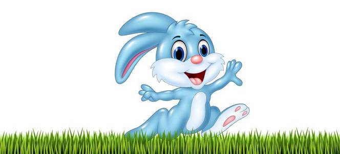 可爱的小兔子在草地上跳跃