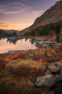 粉红色的天空和镜子像湖上夕阳红颜色增长前景，阿尔泰山高地自然秋天风景照片