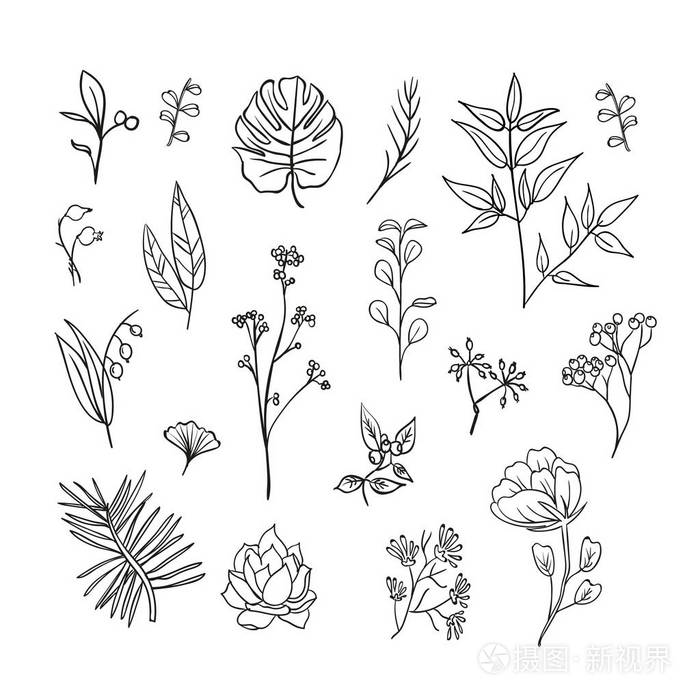 组的植物和草药的图标