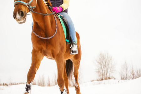 在冬天的衣服的女人正骑在一匹马，背景为白色的雪