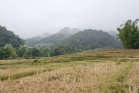 在泰国，清迈湄针湄巴生銮，梯田稻田