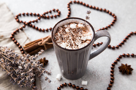 热巧克力或可可的一大杯 棉花糖 肉桂和珠