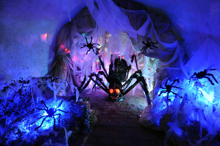 令人惊异的蜘蛛巢茧图片