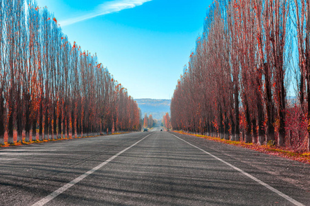 公路通过的小巷秋天红杨树山图片
