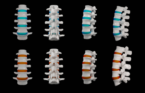 3d 渲染脊柱结构在黑色背景上