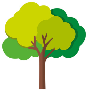 一棵树画图片