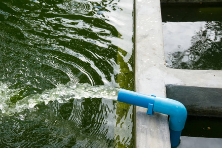 烟草管道从水管的废水流照片