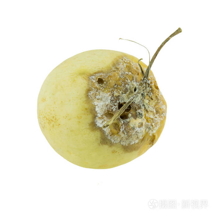 哈密瓜烂白背景上孤立