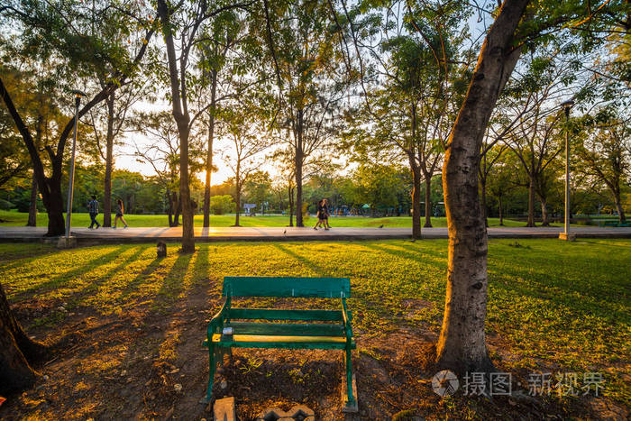 公园长凳位于绿色公园与树晚上