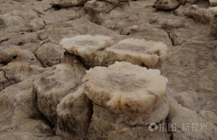 盐结构特写 Dallol 火山火山口基尔，远方，埃塞俄比亚