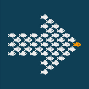 领导业务概念与人群鱼跟在领导后面。矢量