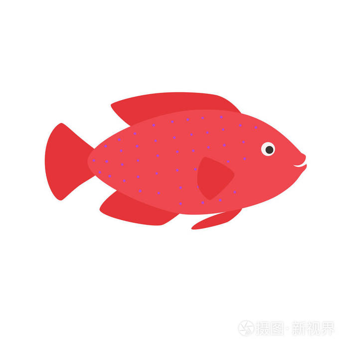 红色的水族馆外来鱼热带