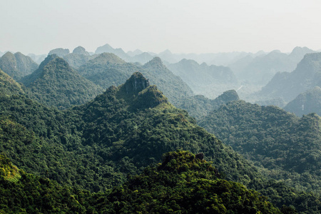 美丽的风景，在丛林森林山和