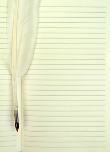 在玻璃油墨的打开笔记本上的鹅毛笔