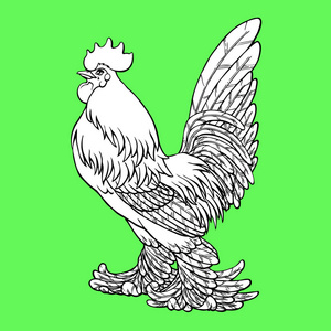 乌鸡插画-乌鸡手绘-乌鸡卡通图-摄图新视界