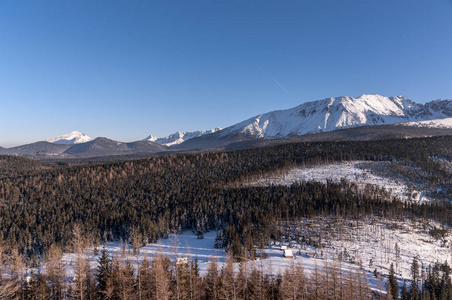 美妙的冬季风景的山。塔特拉