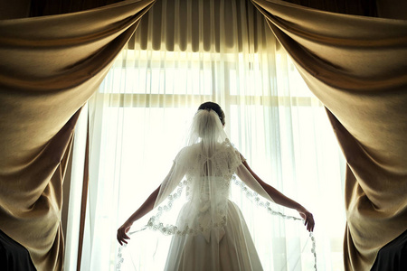新娘的剪影是站在窗户和控股的面纱，美丽的新娘站在窗口，早上的新娘，婚礼的欧洲，美国人的婚礼，新娘紧握着一层面纱