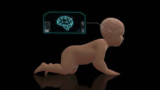 3d 渲染 x 射线的爬行婴儿的大脑里，screen.3d 呈现图形研究