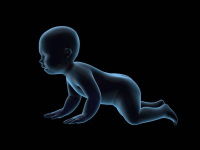 3d 渲染 x 射线的爬行的婴儿