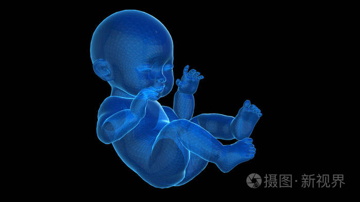 线框模型的婴儿.3d 渲染照片-正版商用图片0wamyx-摄图新视界